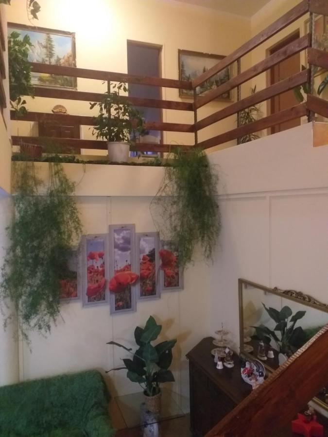 네그레슈티-오아슈 Casa Maria B&B 외부 사진